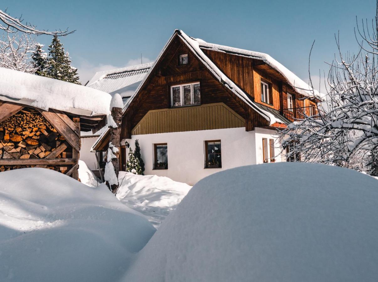 Apartman Karel A Martina Rokytnice nad Jizerou Bagian luar foto